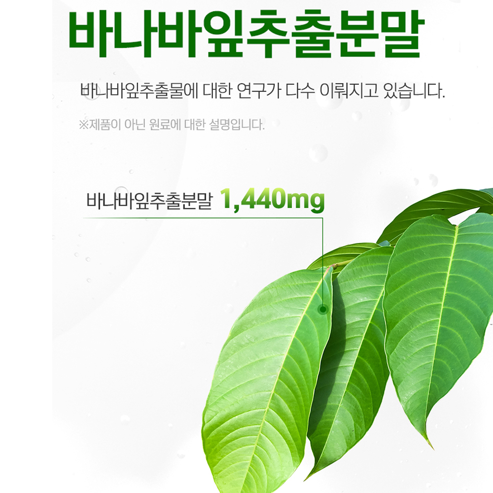 양춘사 바나바잎 추출물 양춘사 분말 바나바 가루 정 이미지 6