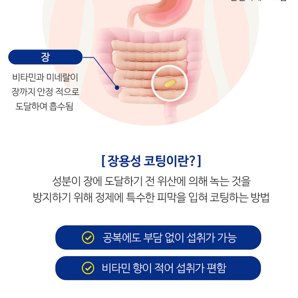 이뮨 멀티 비타민 남자 여성 종합비타민 영양제 미네랄 장용성 vitamin 복합 필수영양제 이미지 6