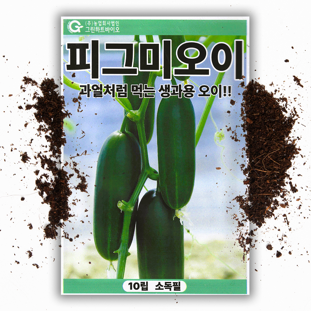 미니오이씨앗 10립 피그미 매끈 침없는 오이 씨앗 채소 종자 - 상품 이미지
