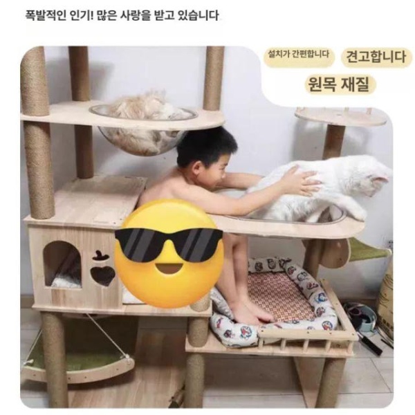 프리미엄 고양이 원목캣타워 고양이집 미니캣타워 소형캣타워 고급 캣타워 업그레이드 고무나무 EF02 실목판실목 비교 지지 DK01 실목판종이관 - 상세 이미지 4