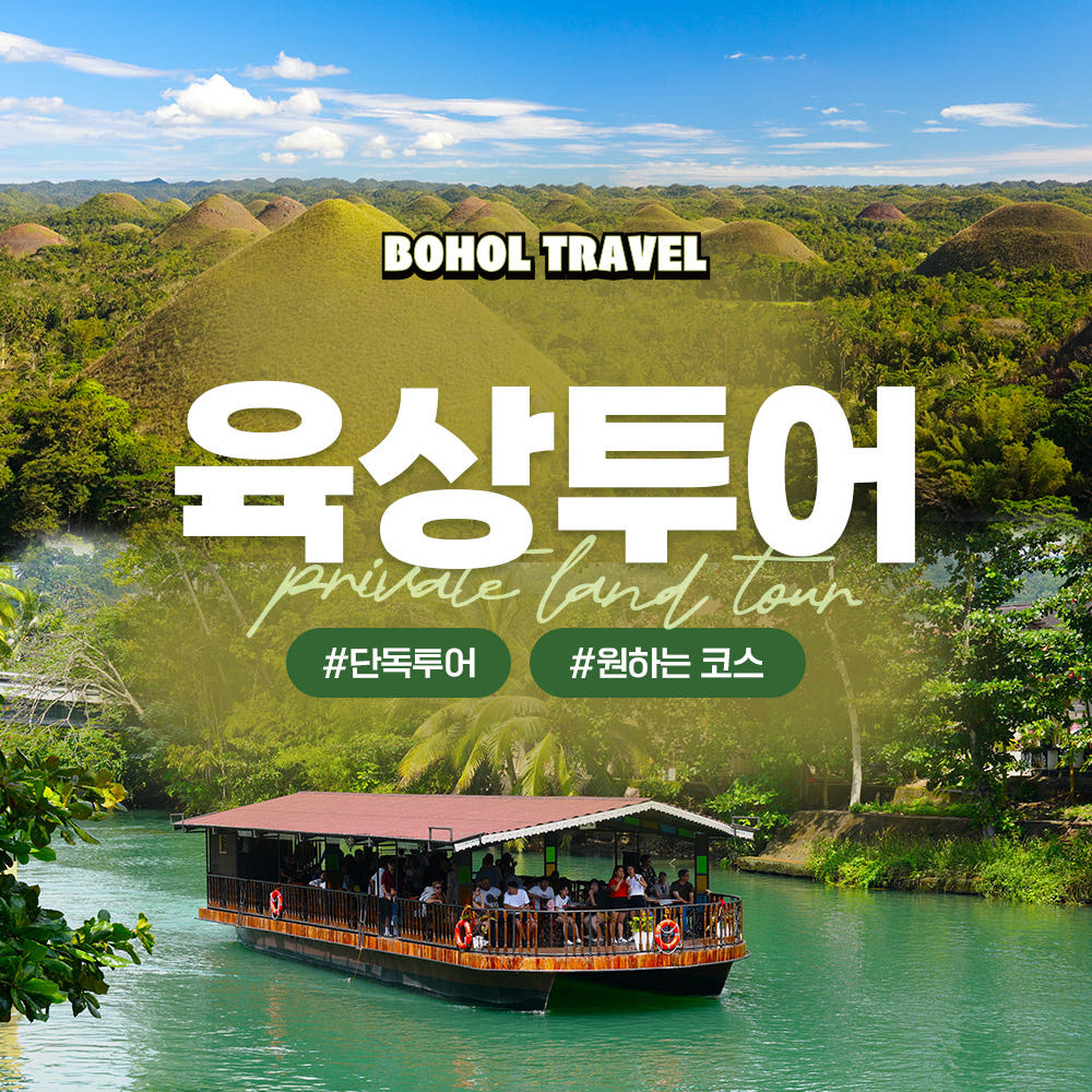 보홀 육상투어 초콜릿힐 안경원숭이 로복강 데이투어 차량 렌트 가격 비교 두잇트래블 보홀 육상투어 초콜릿힐 안경원숭이 로복강 데이투어 차량 렌트