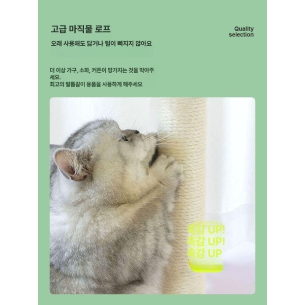 프리미엄 고양이 스크래처 나무 장난감 집 스크래칭 기구 소시지 입 크고 비스듬한 눈 - 상세 이미지 3
