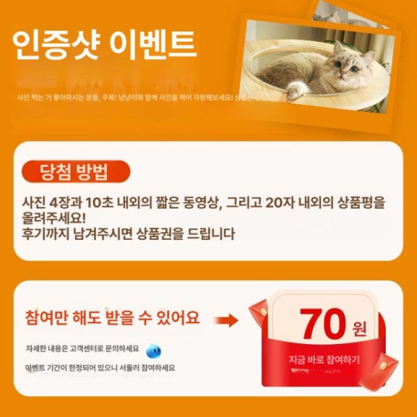 스타일리시 선인장 원목 미니 캣타워 고양이집 회색 종이줄 기둥 A - 상세 이미지 2