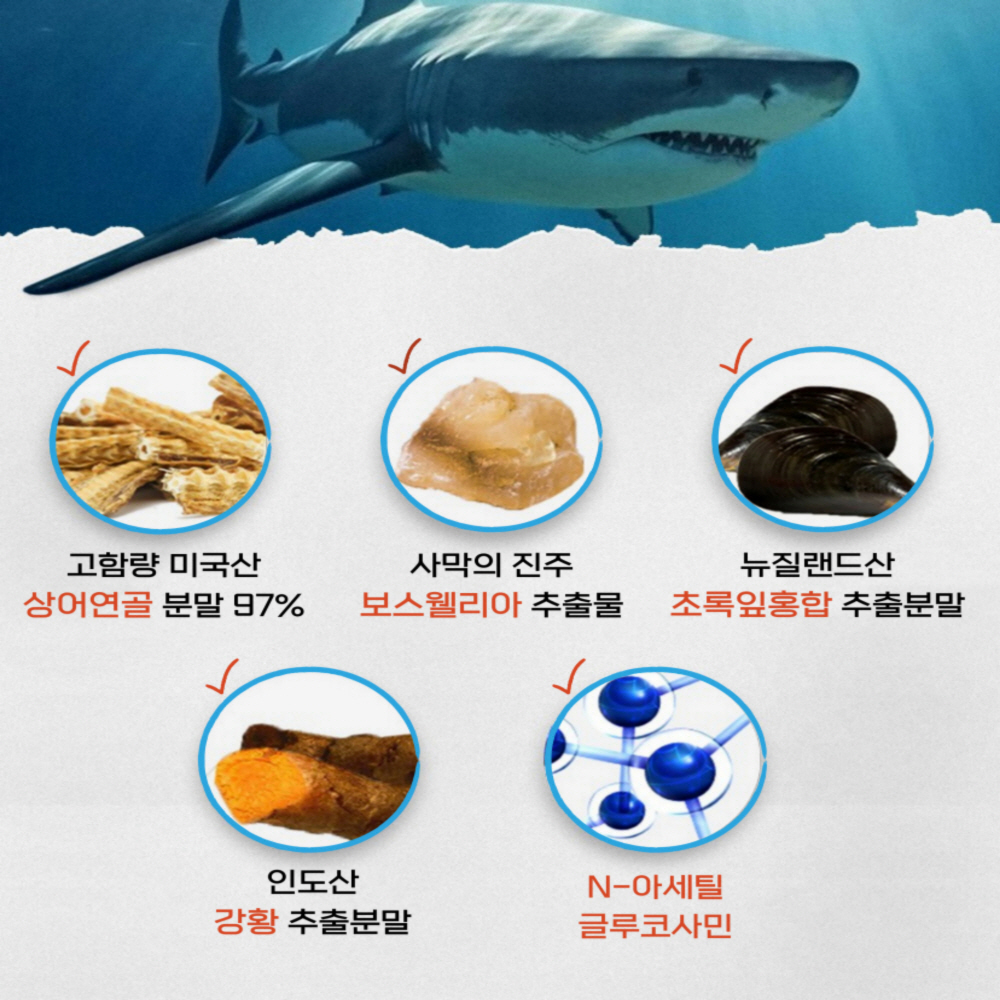그린디 미국산 상어연골 콘드로이친 1800 보스웰리아 강황 상어관절 60정, 6개 - 상세 이미지 5