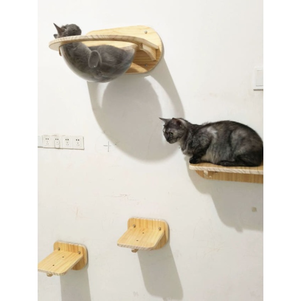 럭셔리 고양이 우주 캡슐 벽걸이 집 펫하우스 고양이텐트 고양이숨숨집 정거장 육각선우주 발판 2개작은 우주선 - 상세 이미지 3