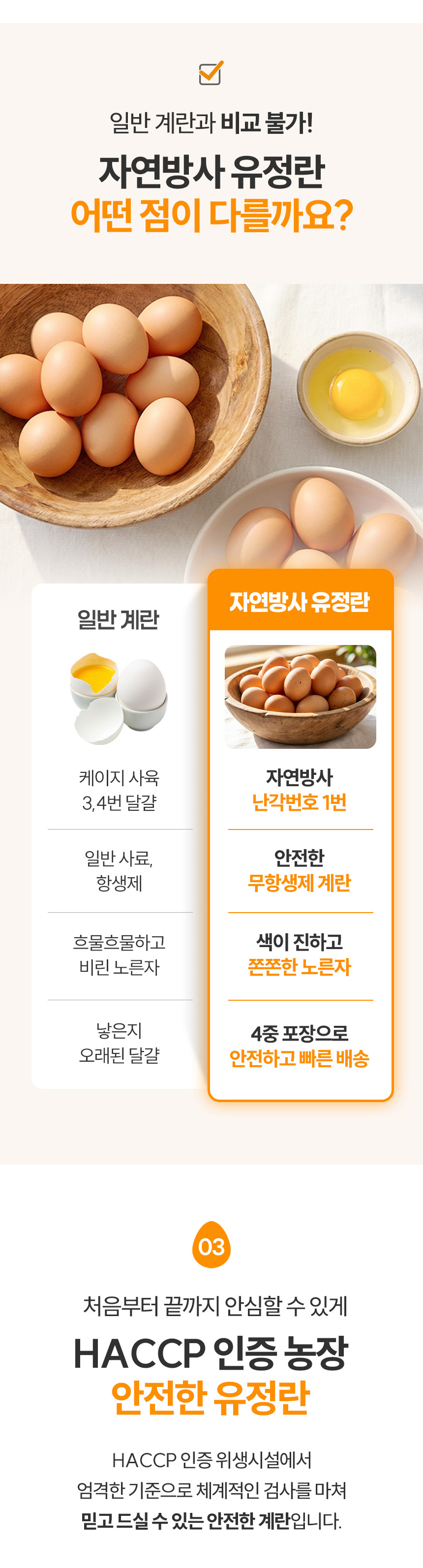 egg2_05.jpg (860×3187)