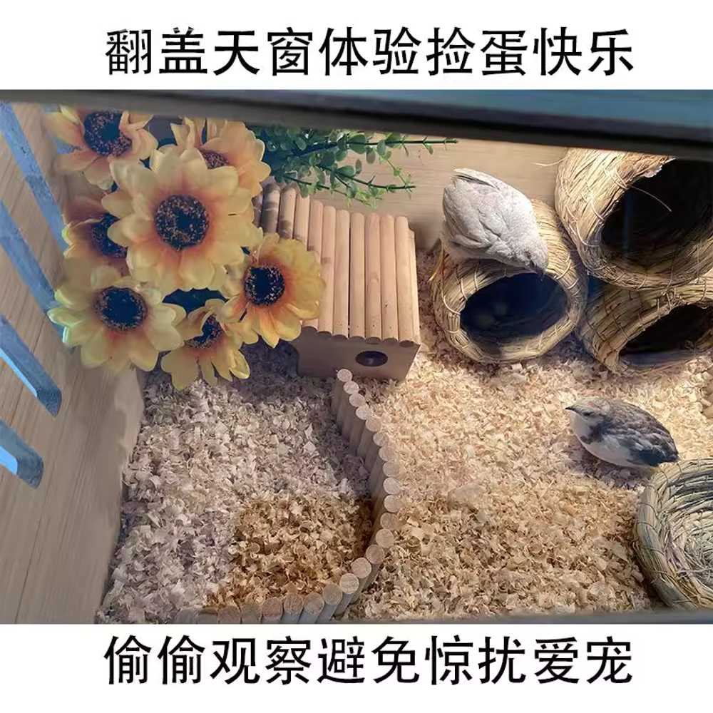 원목 햄스터 사육장 투명 놀이터 하늘다람쥐 집 펫 큰 80x40x40cm 더블 도어 - 상세 이미지 2