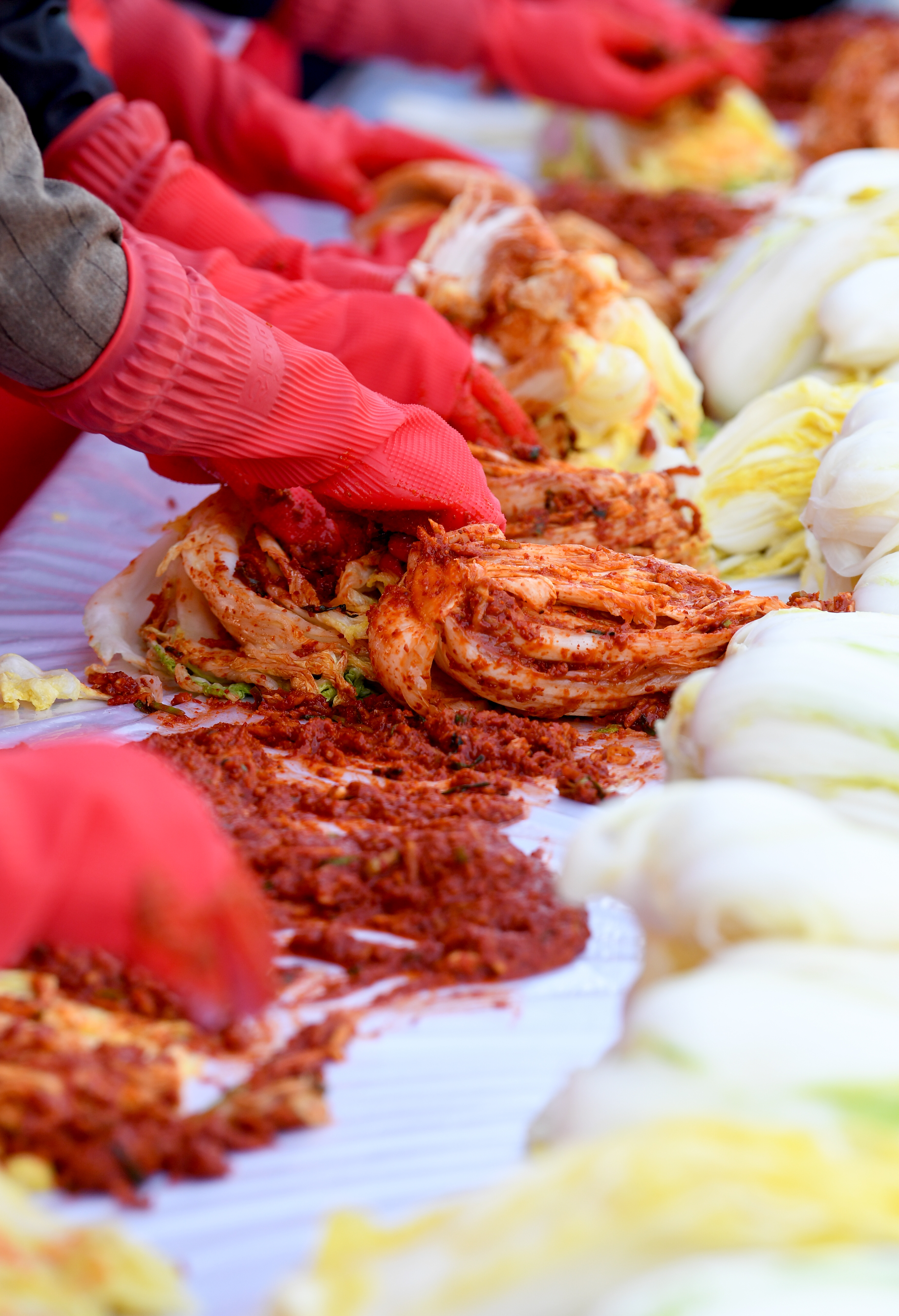 100% 국내산 해남/강원도 배추김치 5kg HACCP 위생생산 / 당일제조 - 상세 이미지 3