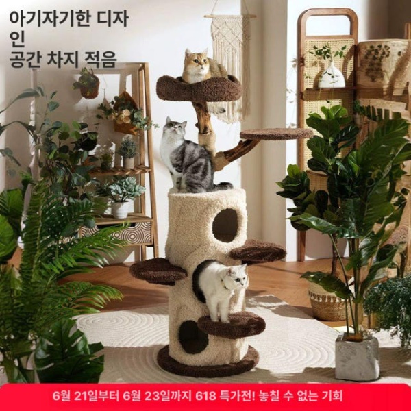 프리미엄 고양이집 안정적인 집 공간절약 타워 나무집 구조물 디자인 스크래쳐 관람대 작은 2025 신상-작은 사이즈 큰 작은 나무집 2025 신상-작은 사이즈 - 상세 이미지 2