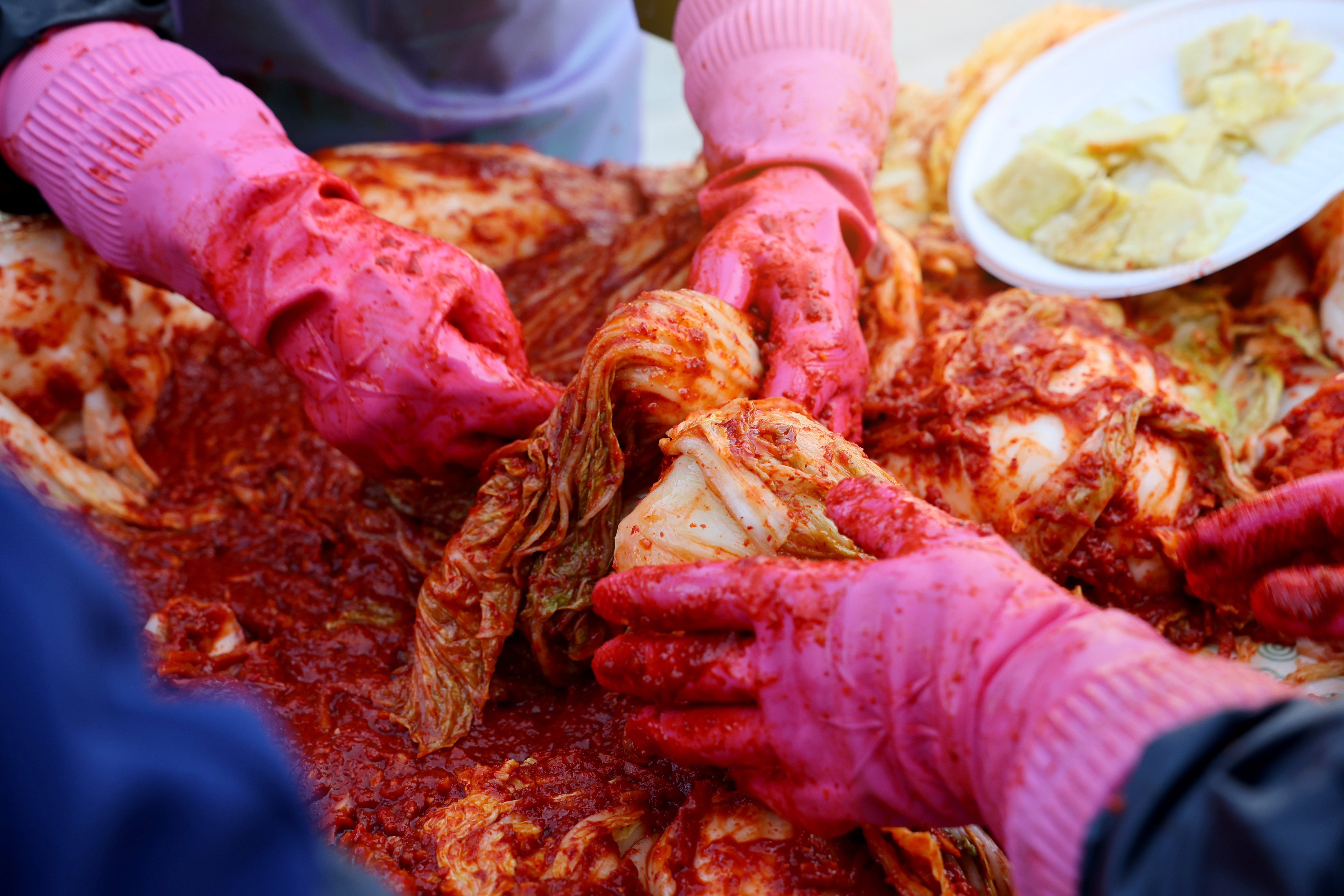 100% 국내산 해남/강원도 배추김치 5kg HACCP 위생생산 / 당일제조 이미지 6