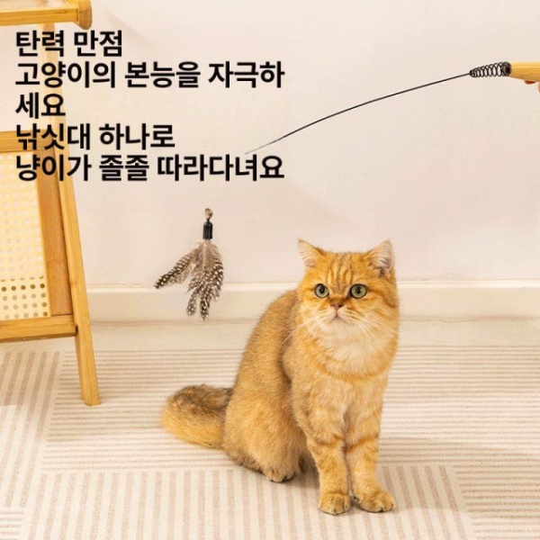 최고의 깃털 고양이 티저 장난감 막대 고양이장난감 캣닢장난감 고양이놀이 목재 손잡이 유인고양이봉흰 교체헤드 목재 손잡이 유인고양이봉흰 깃털 교체헤드 - 상세 이미지 3