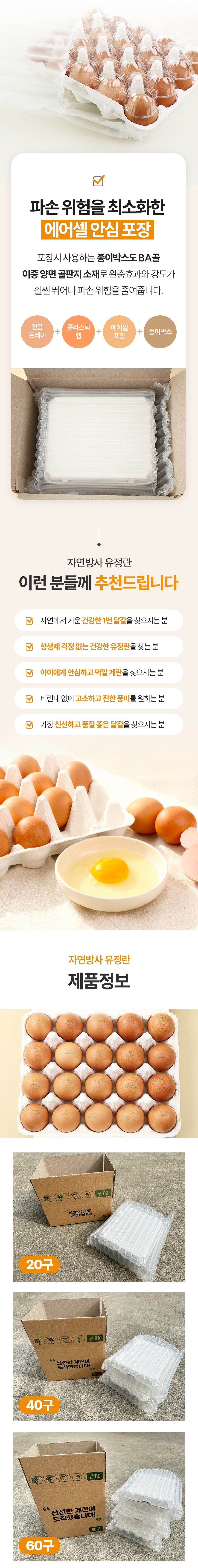 egg2_08_1.jpg (860×6816)