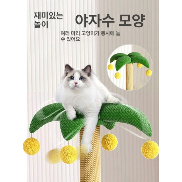 귀여운 미니 선인장 소형 고양이 캣타워 장난감 집 재미있는 선인장 - 상세 이미지 5