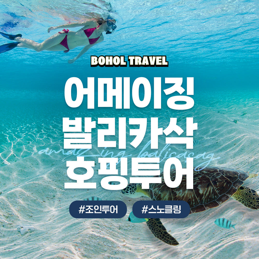 보홀 여행 호핑투어 발리카삭 버진아일랜드 돌고래 거북이 투어 가격 추이 두잇트래블 보홀 여행 호핑투어 발리카삭 버진아일랜드 돌고래 거북이 투어 - 최저가 62,370원