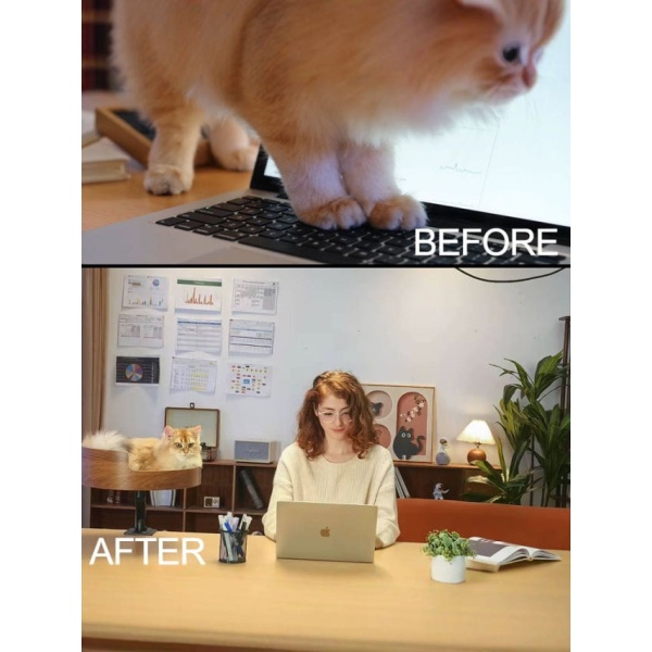 편안한 조절 가능한 침대용 고양이 소파 해먹 침대 고양이해먹침대 다크브라운 3 더블와이드형 다크브라운 기본형 L-대형 - 상세 이미지 4