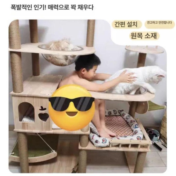 프리미엄 원목 캣타워 집 스크래처 소형 미니 놀이기구 DK03 실목판실목기둥 DK01 실목판종이관기둥 - 상세 이미지 4