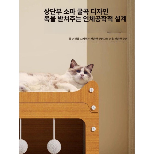 최고급 고양이 스크래처 보호대 발톱 관리 소형 침대 카페트 박스 숨숨집 장난감 소형 고양이 스크래처 - 상세 이미지 5