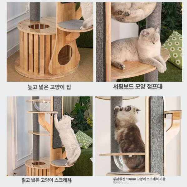 스타일리시 선인장 원목 미니 캣타워 고양이집 회색 종이줄 기둥 A - 상세 이미지 4