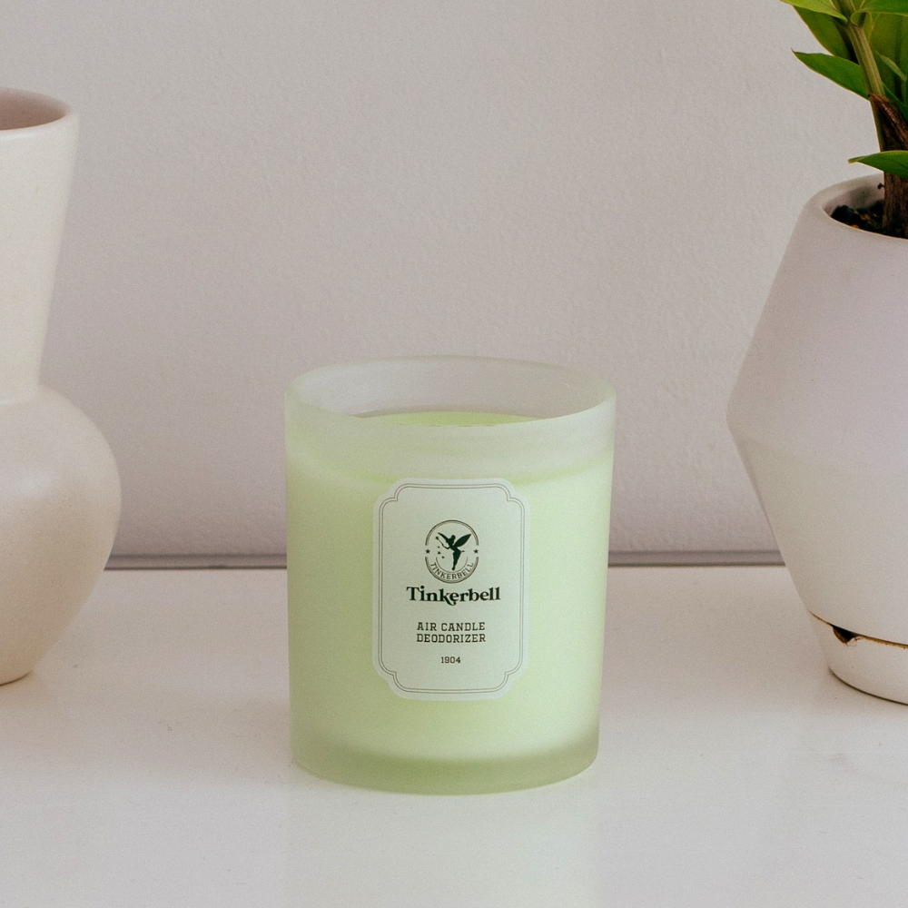 [팅커벨] 에어캔들 퍼퓸 고체 탈취제 홀애비 냉장고 하수구 냄새제거 그린 프루티, 230g, 1개 제품 이미지