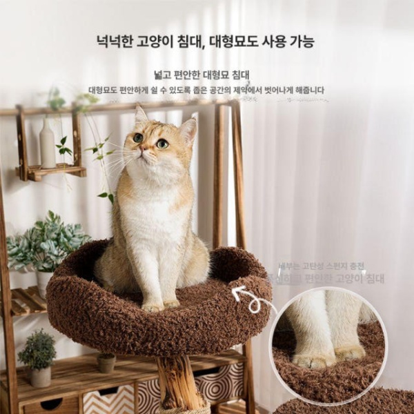 프리미엄 고양이집 안정적인 집 공간절약 타워 나무집 구조물 디자인 스크래쳐 관람대 작은 2025 신상-작은 사이즈 큰 작은 나무집 2025 신상-작은 사이즈 - 상세 이미지 3