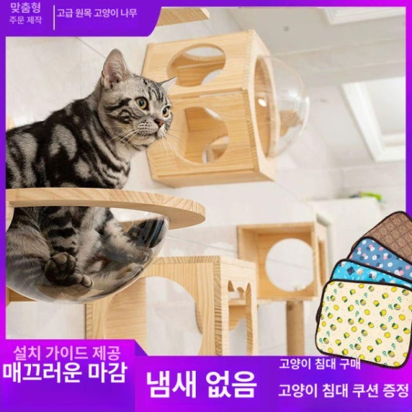 프리미엄 원목 캣폴 고양이놀이터 고양이캣타워 긴 고양이집 벽걸이 고양이 등반대 소형캣타워 마끈 기둥 - 상세 이미지 3
