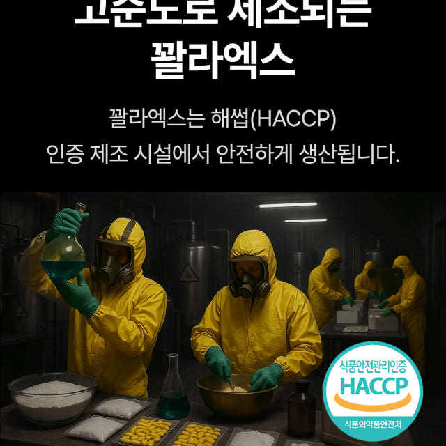 꽐라엑스 5포