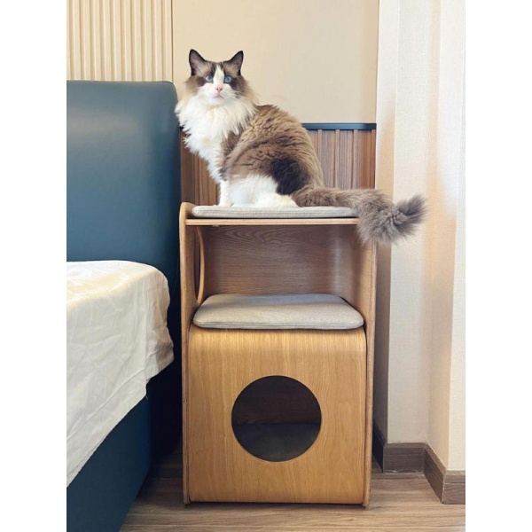프리미엄 원목 실내 고양이 집 테이블 겸 가구 보금자리 침대 공간 이갈이 놀이 단층 원목색 단층 - 상세 이미지 4