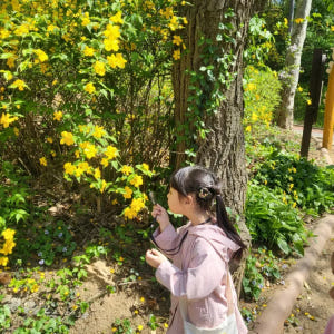 [우장산] 행복한숲학교 원데이 어린이 숲체험 by 행복한숲학교 솔직 후기 | 실사용자 리뷰 분석 - 상품 이미지 2