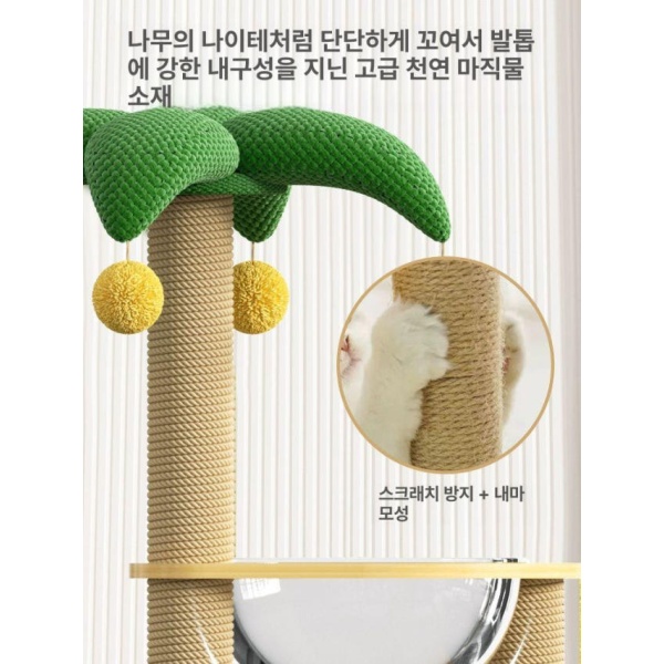 귀여운 미니 선인장 소형 고양이 캣타워 장난감 집 재미있는 선인장 - 상세 이미지 4