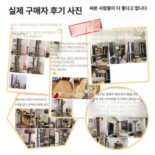스타일리시 선인장 원목 미니 캣타워 고양이집 회색 종이줄 기둥 A - 상세 이미지 3