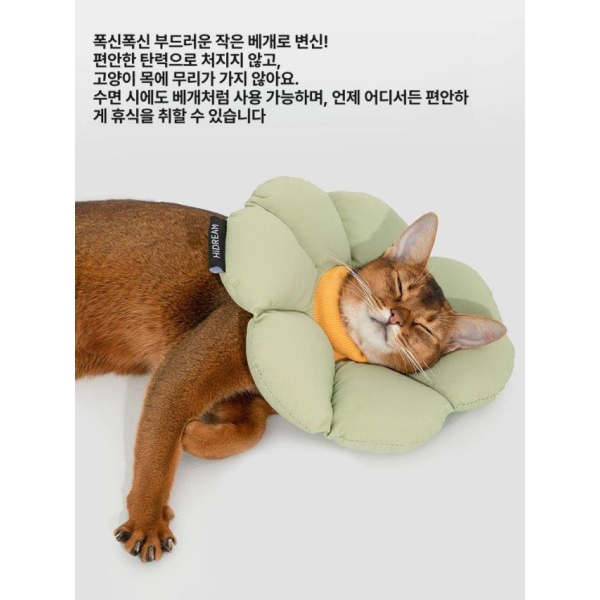 프리미엄 반려동물 보호용 소프트 방수 목 보호대 편안한 착용감 피부병 예방 보호용품 강아지 고양이 공용 강아지코스튬 고양이옷 강아지옷 강아지망토 등나무 등나무 보라 S-0-3kg - 상세 이미지 3