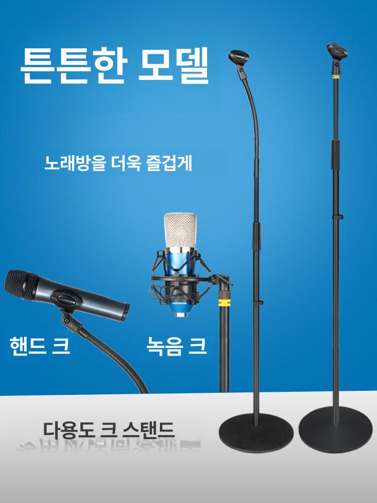 스탠딩 무대 공연 방송 콘서트 음악 축제 복고풍 레트로 노래방 - 상세 이미지 3