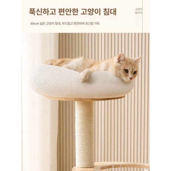 프리미엄 고양이집 고무나무 원목캣타워 소형캣타워 미니캣타워 중형 고양이 나무 중형 고양이집-고무나무 - 상세 이미지 3