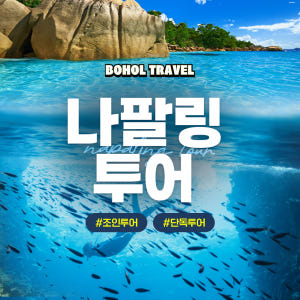 보홀 나팔링 투어 스노클링 정어리떼 체험 프리다이빙 자유여행 패키지 솔직 후기 | 실사용자 리뷰 분석 - 상품 이미지 1