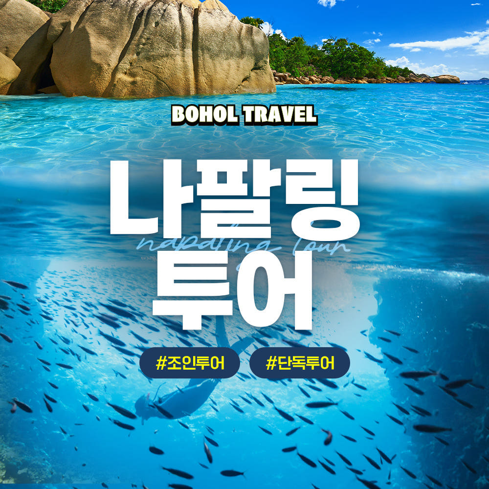 보홀 나팔링 투어 스노클링 프리다이빙 패키지 가격 추이 두잇트래블 보홀 나팔링 투어 스노클링 프리다이빙 패키지 - 최저가 15,750원