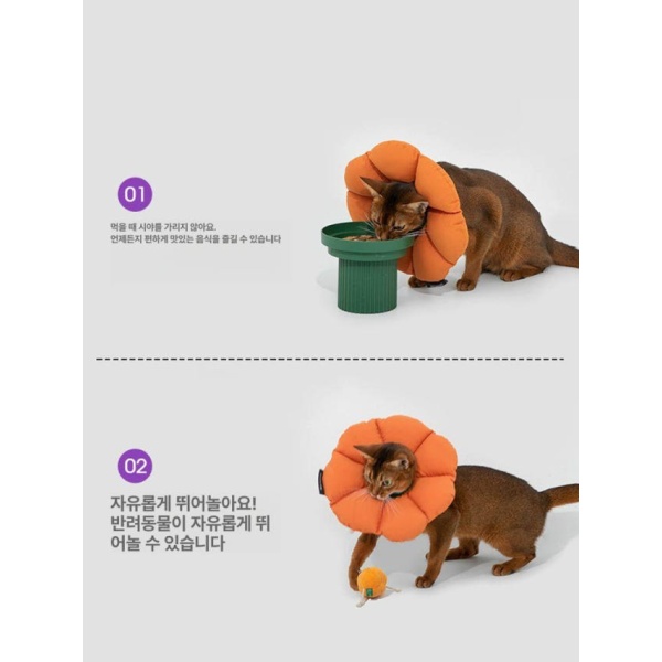 프리미엄 반려동물 보호용 소프트 방수 목 보호대 편안한 착용감 피부병 예방 보호용품 강아지 고양이 공용 강아지코스튬 고양이옷 강아지옷 강아지망토 등나무 등나무 보라 S-0-3kg - 상세 이미지 4