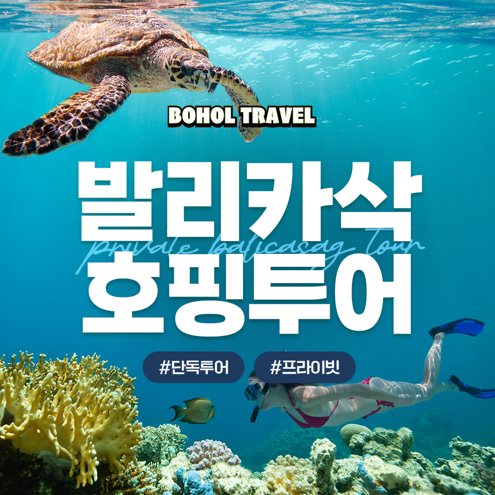 보홀 발리카삭 투어 스노클링 프라이빗