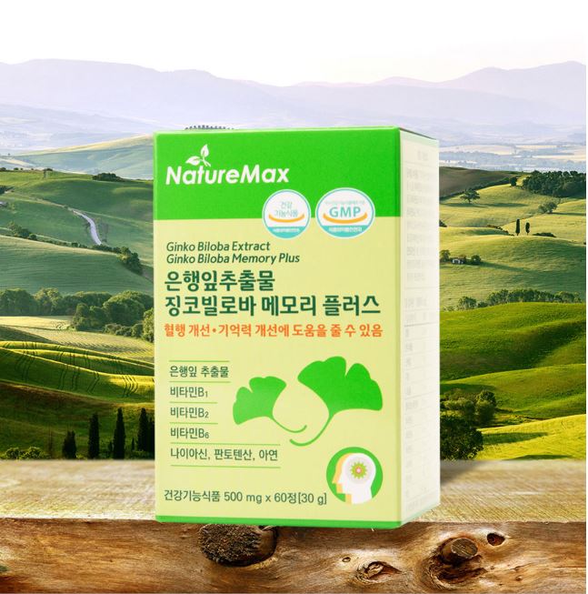 네이처맥스 은행잎추출물 징코빌로바 메모리 플러스 60정, 2개 이미지 6