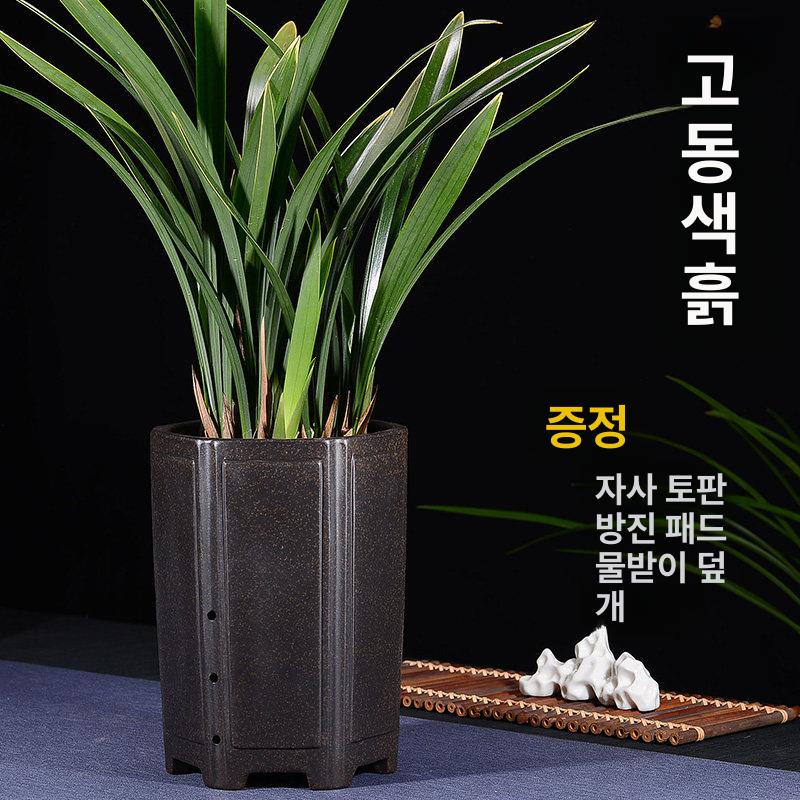 흙과 고풍 자사 화분 화분진열대 대형화분 난 정리 도자기 슬림 - 상세 이미지 3
