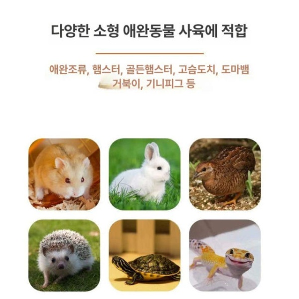 프리미엄 아크릴 햄스터 소동물 하우스 기니피그집 장난감 40x30x30 천창 육계 40x30x30 천창 표준 - 상세 이미지 3