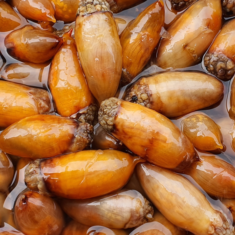 자연가득 남해안 횟감용 손질 깐 미더덕 500g-1kg - 상품 이미지