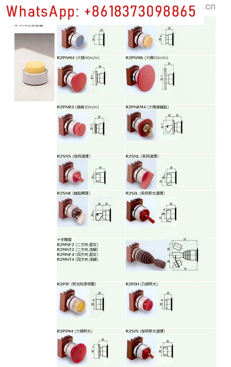 30Mm R3PIF 자체 재설정 플랫 헤드라이트 버튼 스위치 1 일반적으로 LED 조명 켜짐