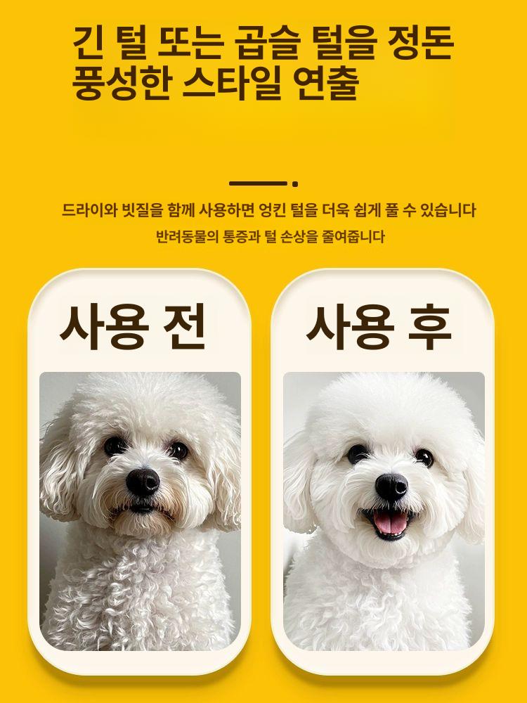 반려견 전용 펫 헤어드라이어 브리더스 비숑 테디용 블로우기 볼 - 상세 이미지 3