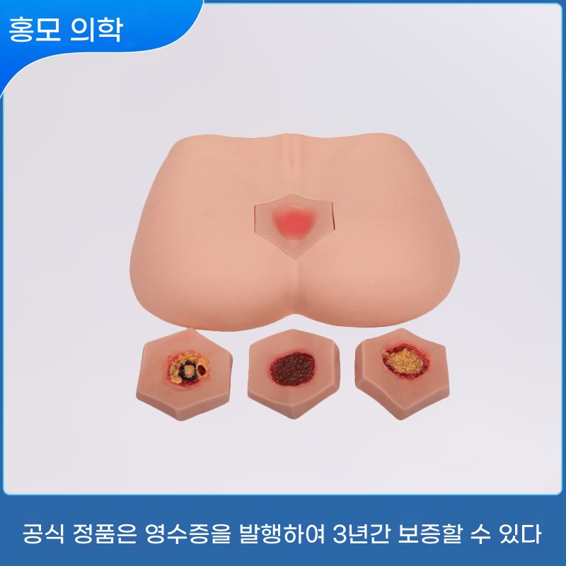 욕창 더미 모형 모델 A. 홍모 HOM0B 단계 욕창 간호 모형 노인 케어 교육 모형 4단계 욕창 간호 교육 모형 욕창 간호 교육 모형 시뮬레이터 - 상세 이미지 2