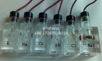 전해질 전극 화전극 륨 나트륨 pH 염소 REF