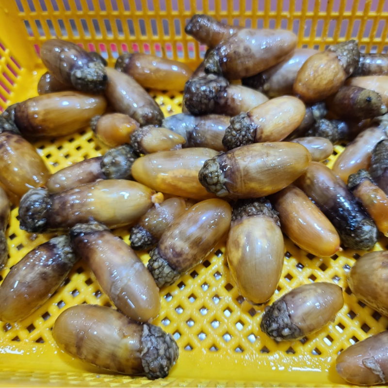 자연가득 남해안 횟감용 손질 깐 미더덕 500g-1kg - 상세 이미지 4