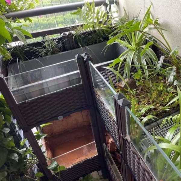 프리미엄 거북 전용 생태 사육 상자 거북이집 거북이키우기 바퀴 달린 L3박스 3박스 120x40x37 - 상세 이미지 4