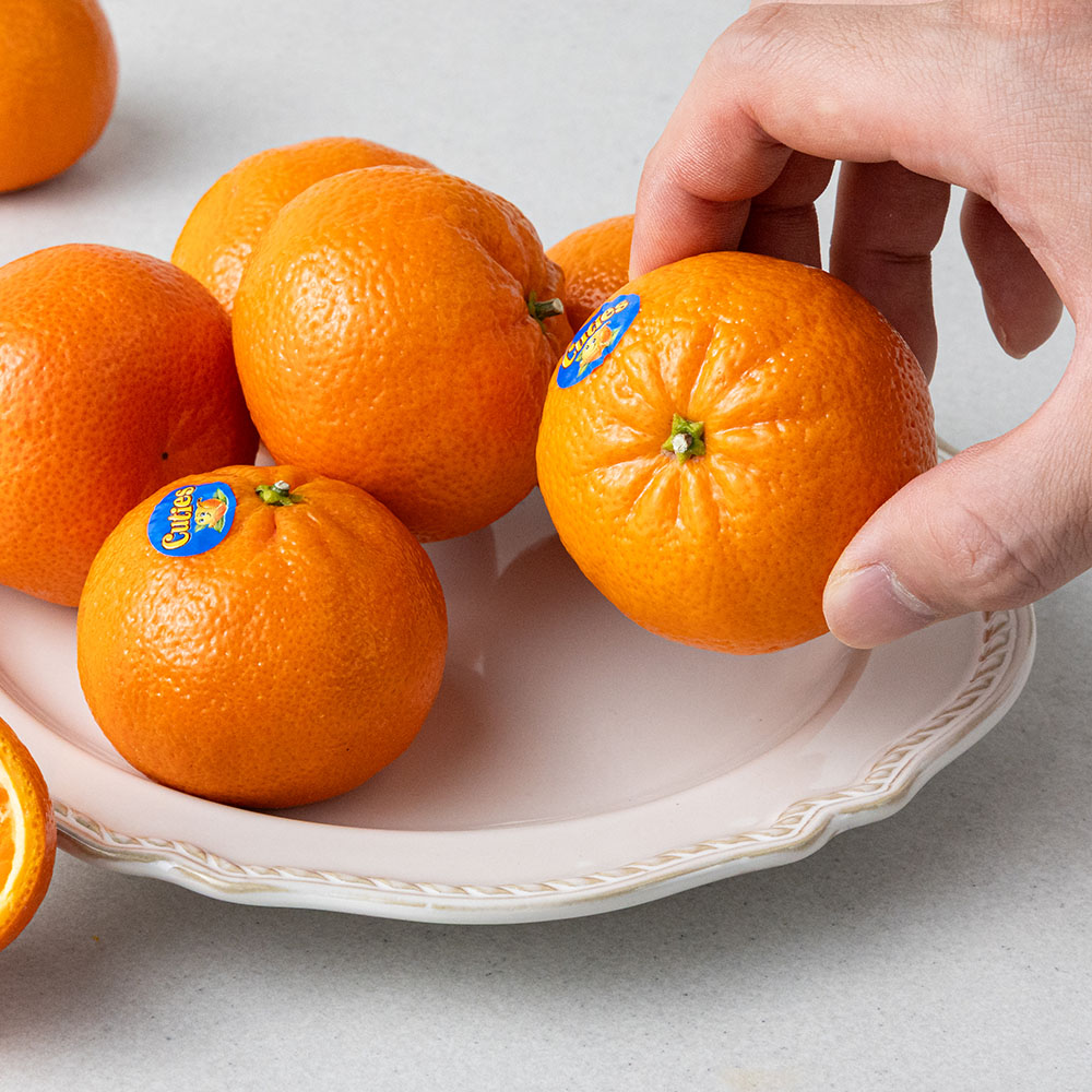 비가림하우스귤 만다린귤 진지향 제주 서귀포 10키로 5키로 맛있는 감귤 고당도 로얄과 소과