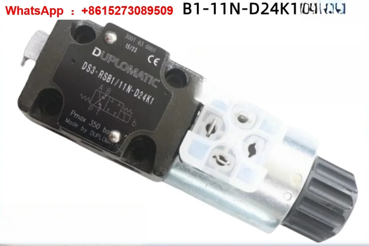 솔레노이드 밸브 DS3-RSA4-11N-A00 RSA1/RSB1 A110K1/D220K1/A230K1