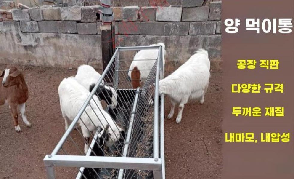 양 먹이통 가축 사료통 여물통 송아지 축사 배식통 염소 1m 양면 스틸 이미지 6